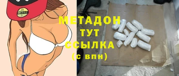 прущие грибы Протвино
