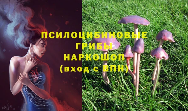 бутират Арсеньев
