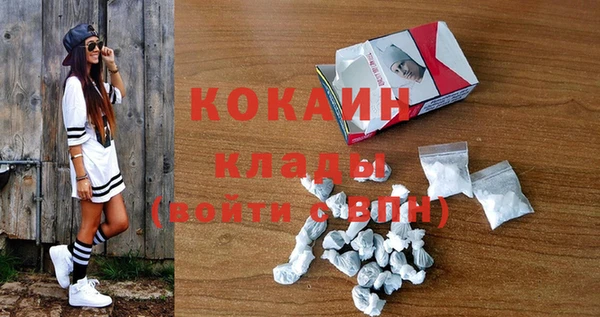прущие грибы Протвино